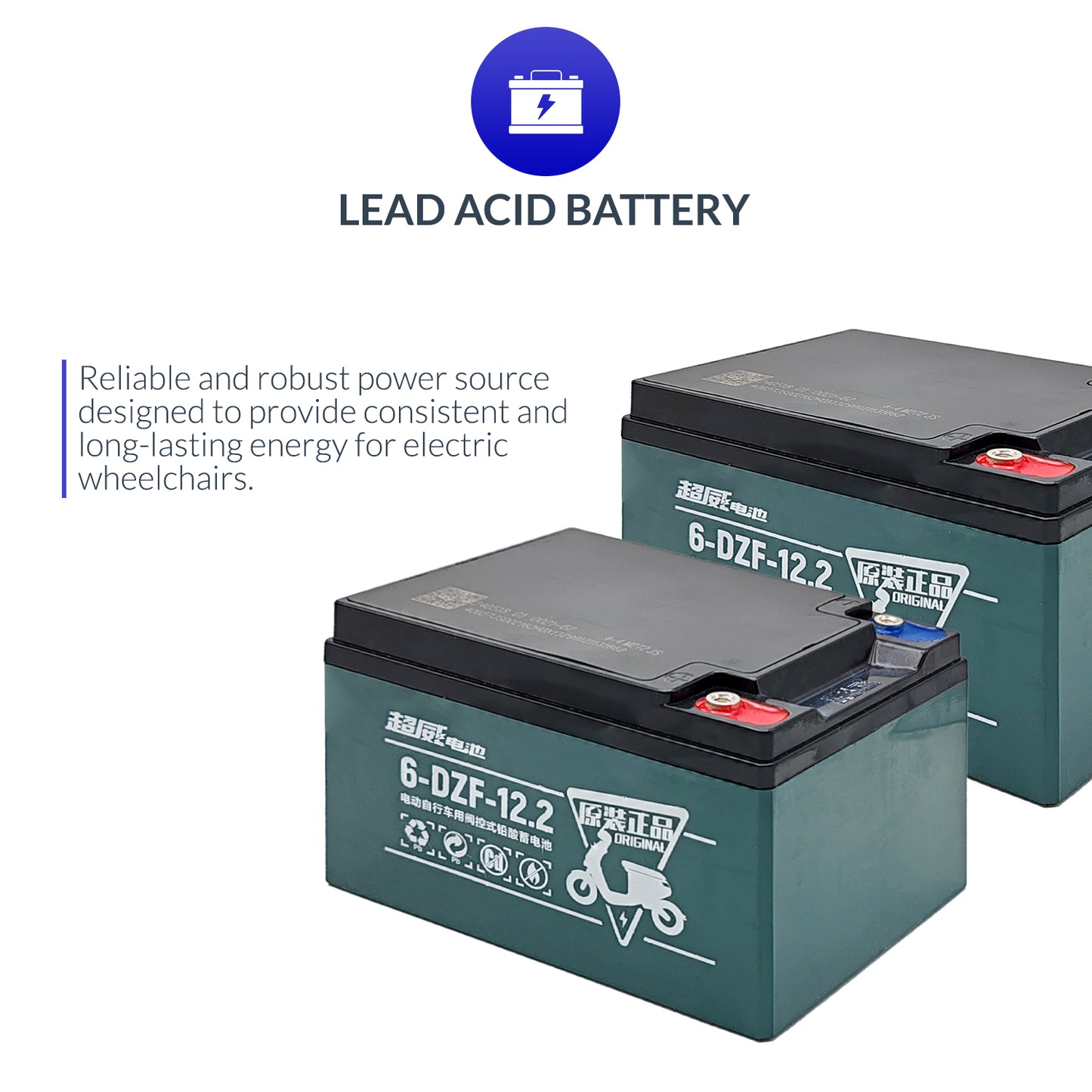 iCare Chilwee Wheelchair Lead Acid Battery Compatible with E310 & E510 with Case
