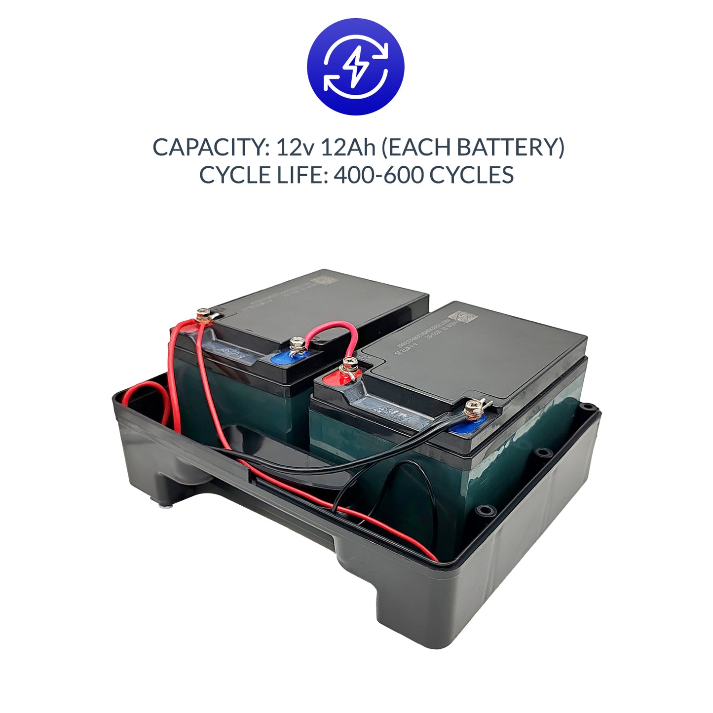 iCare Chilwee Wheelchair Lead Acid Battery Compatible with E310 & E510 with Case