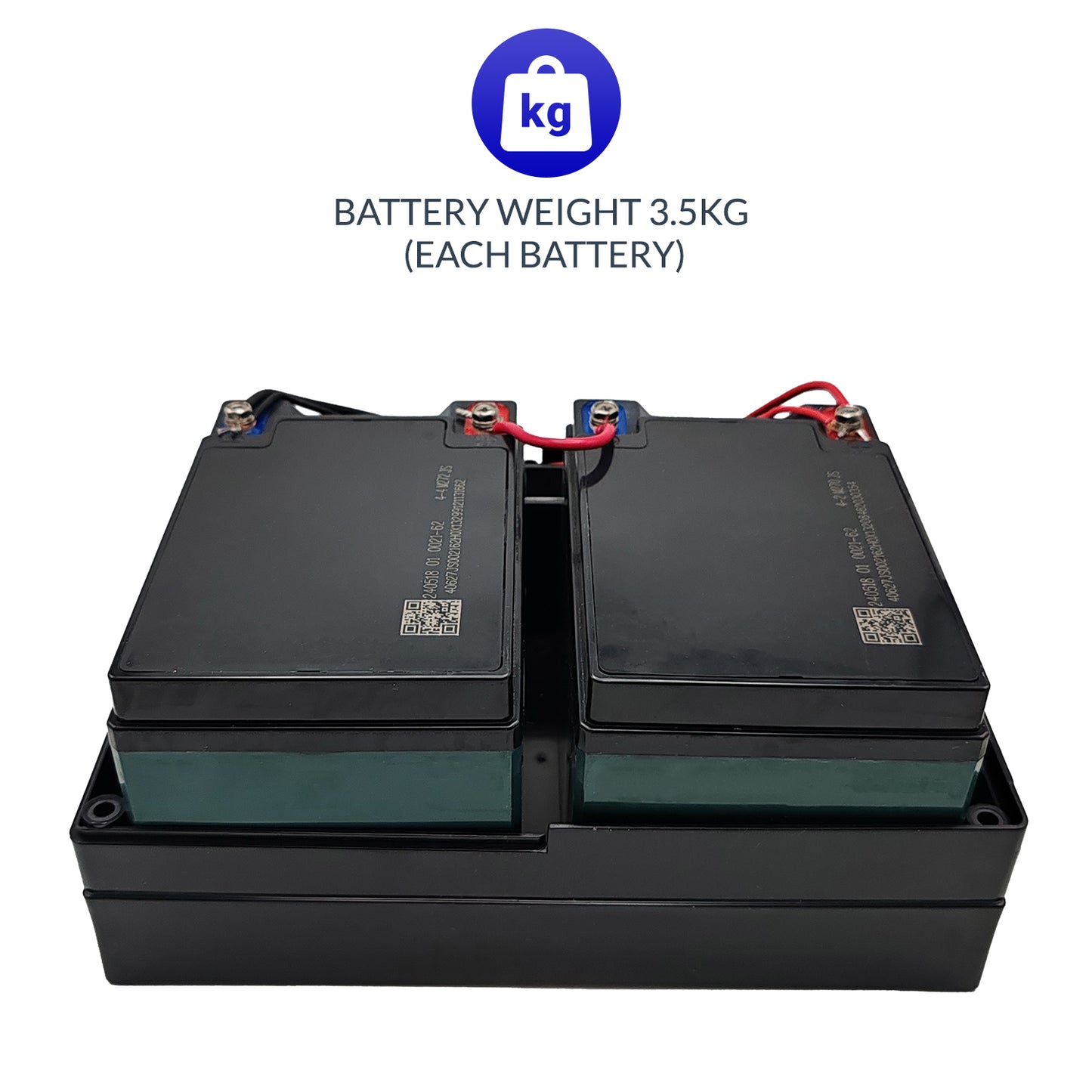 iCare Chilwee Wheelchair Lead Acid Battery Compatible with E310 & E510 with Case